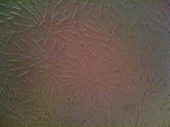 Leaf like ceiling texture : r/drywall