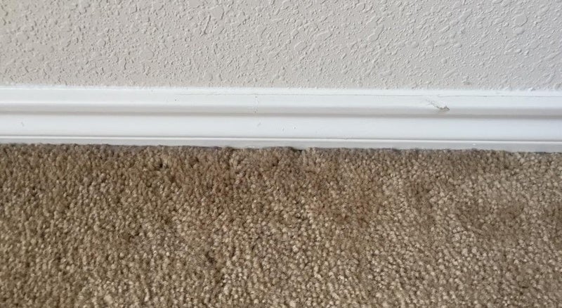 How To Seal Under Baseboard Carpet