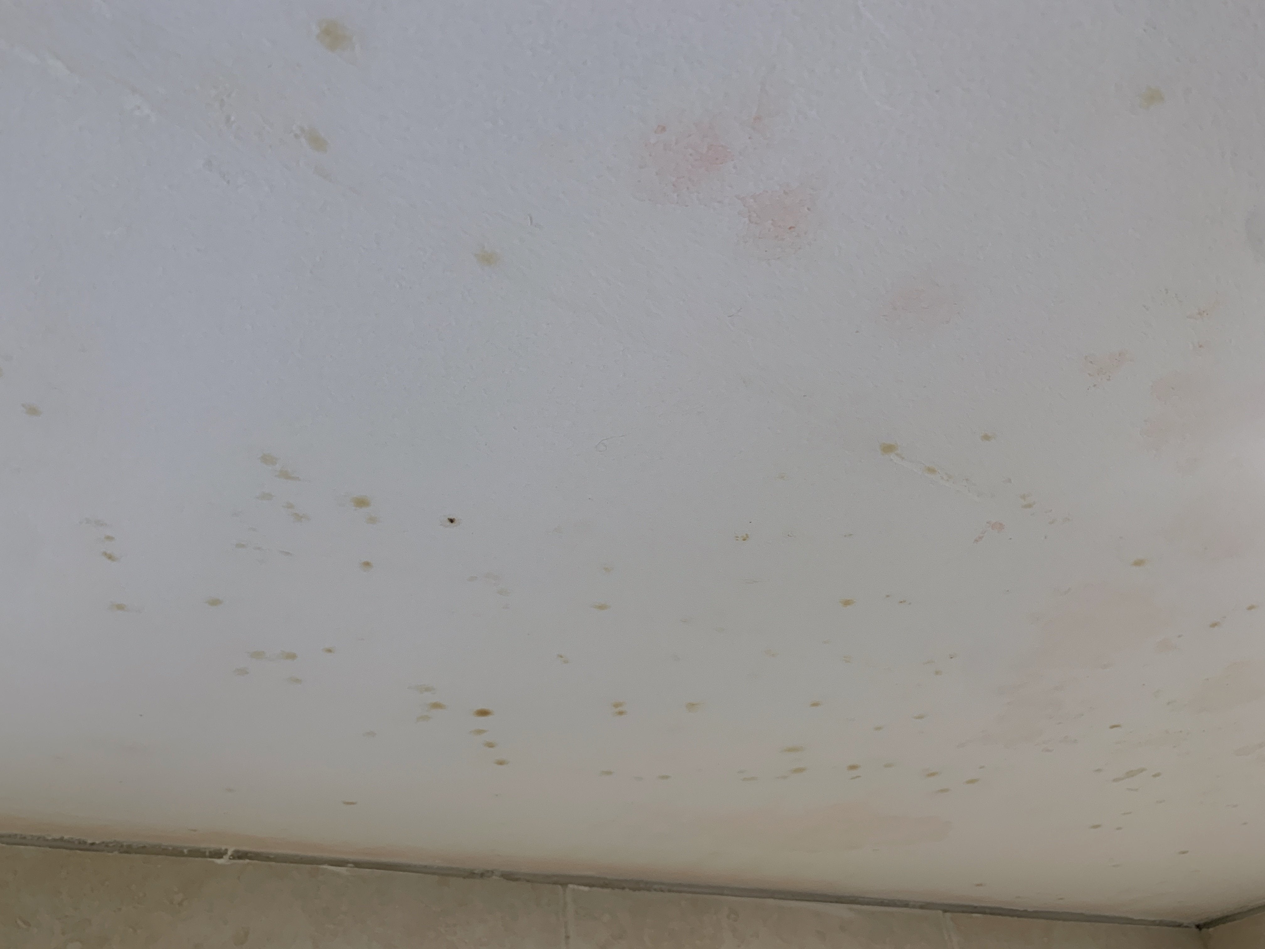 Post Popcorn Removal Water Stains Diy