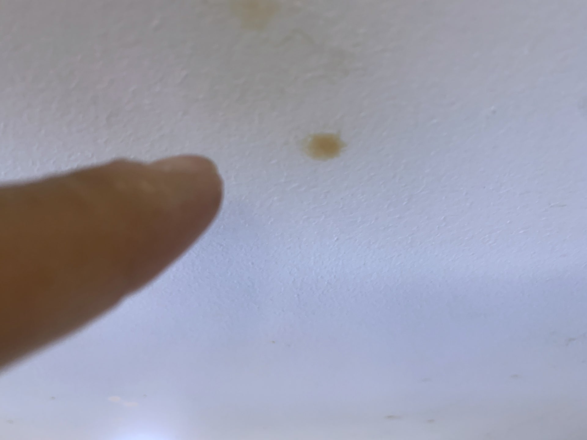 Post Popcorn Removal Water Stains Diy