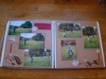 DSC08961.JPG-re-sized.jpg