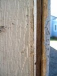 IMG_3326.jpg