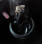 socket-2.jpg